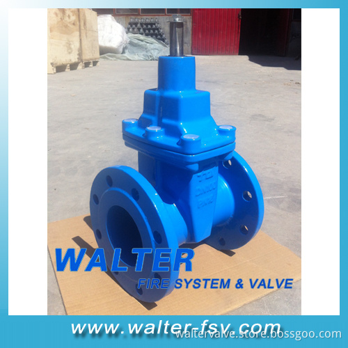 Double Flanged Cast Iron Gate Valve Pn25